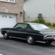 Illustration for article titled Pics from the Curbside: 2019-08-17 Near Collins Bay Pen